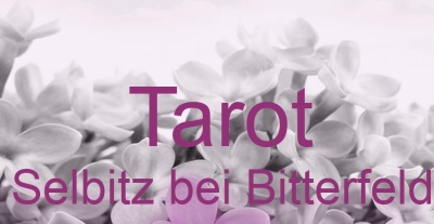 Tarot Selbitz bei Bitterfeld | Top-Experten für Kartenlegen, Wahrsagen, Hellsehen, Zukunftsdeutung. Tarot Selbitz bei Bitterfeld | Top-Experten für Kartenlegen, Wahrsagen, Hellsehen, Zukunftsdeutung.